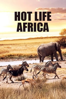 Hot Life: Africa - SWEET.TV Watch Hot Life: Africa online