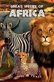 Παρακολούθησε Great Species of Africa online