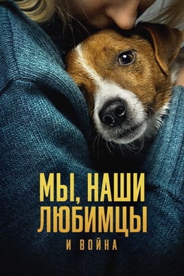 Мы наши любимцы и война - SWEET.TV Смотреть Мы наши любимцы и война онлайн