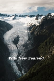 Παρακολούθησε Wild New Zealand online