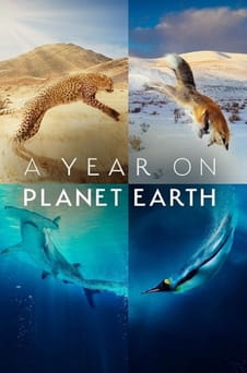 Παρακολούθησε A Year on Planet Earth online