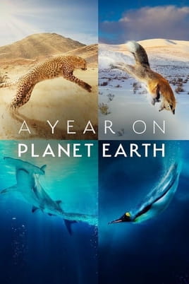 A Year on Planet Earth - SWEET.TV უყურეთ A Year on Planet Earth ონლაინ რეჟიმში