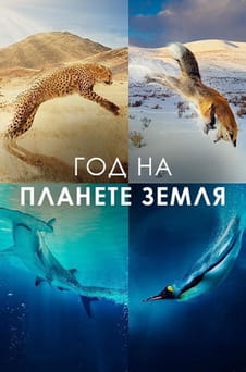 Смотреть Год на планете Земля онлайн