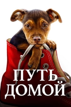 Смотреть Путь домой онлайн