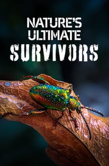 Παρακολούθησε Natures Ultimate Survivors online