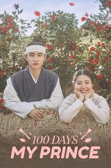 Παρακολούθησε 100 Days My Prince online