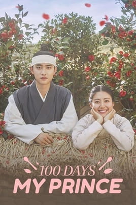 Watch 100 Days My Prince online