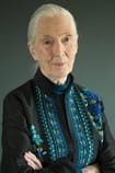 Filmi z igralcem Jane Goodall - SWEET.TV Filmi z igralcem Jane Goodall