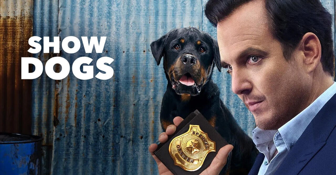 Show Dogs