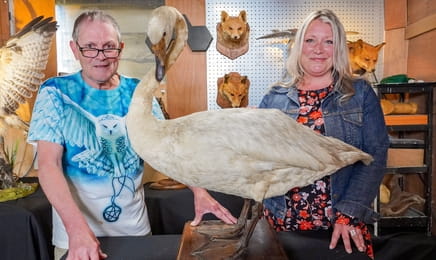 Реставраторы S6E14 - Дёргая за ниточки