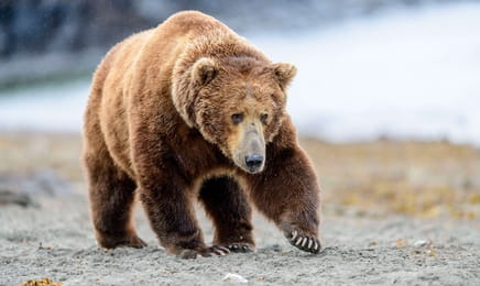 Королевы S1E2 Королевы S1E2