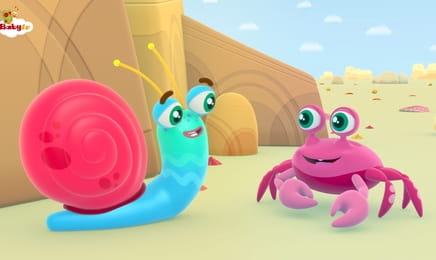 Snail Trail - Roosters