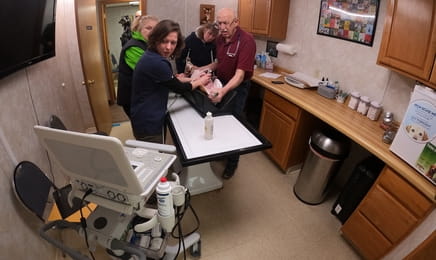 Невероятный доктор Пол S13E12 Невероятный доктор Пол S13E12