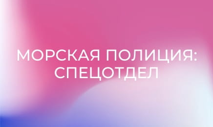 Т/с "NCIS: Полювання на вбивцю", 18 сезон, 11 і 12 с. Т/с "NCIS: Полювання на вбивцю", 18 сезон, 11 і 12 с.