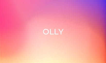 Olly - Olly the Police Officer