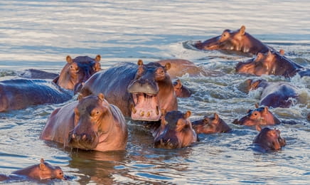 Самые опасные убийцы S1E1 - Леди-убийцы