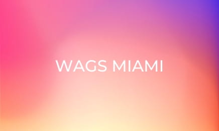 WAGS Miami S2E3 - Dueling Matchmakers