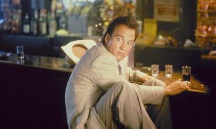 К-9: Собачая работа