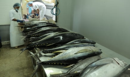 Непокорные океаны S1E1 - Преступление