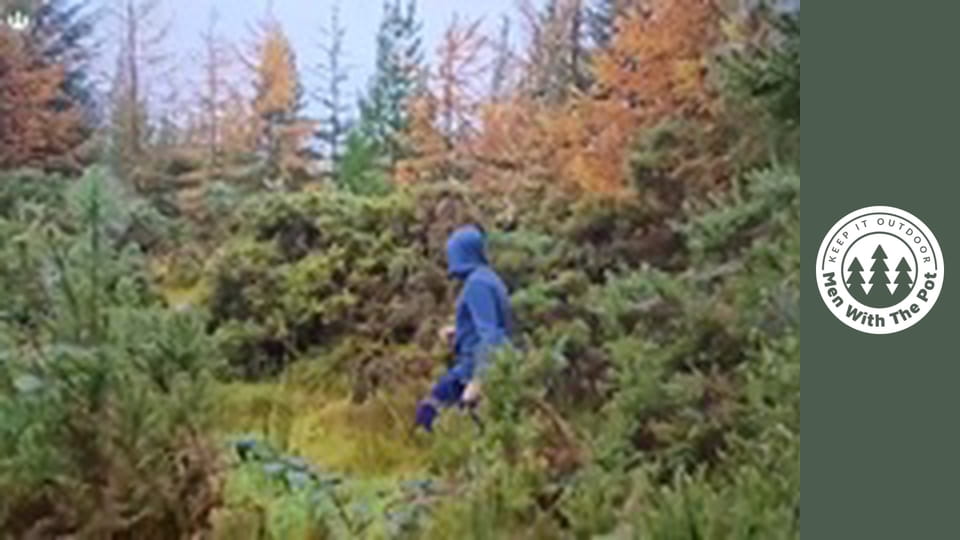 The PERFECT Sandwich