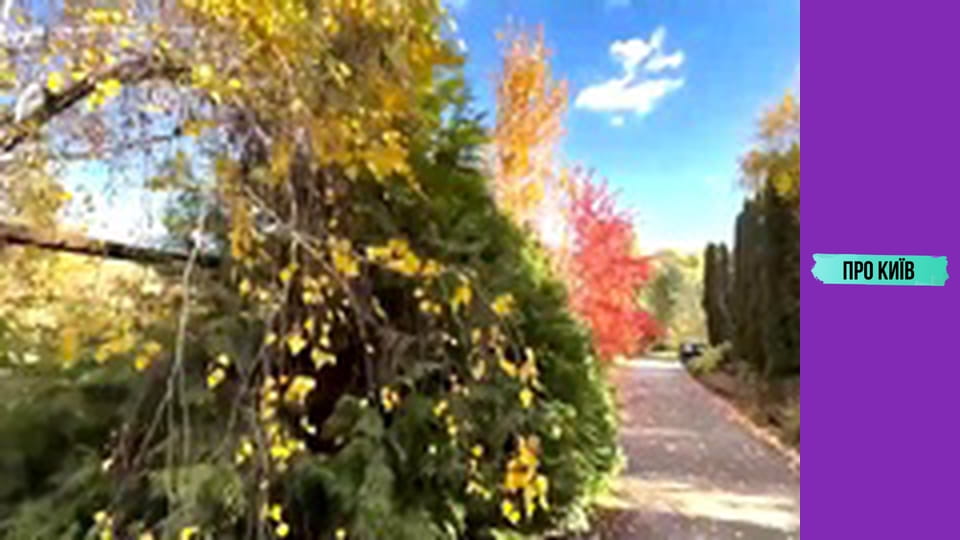 Де погуляти в Києві восени? Секретна київська оаза. Сирецький Дендропарк.