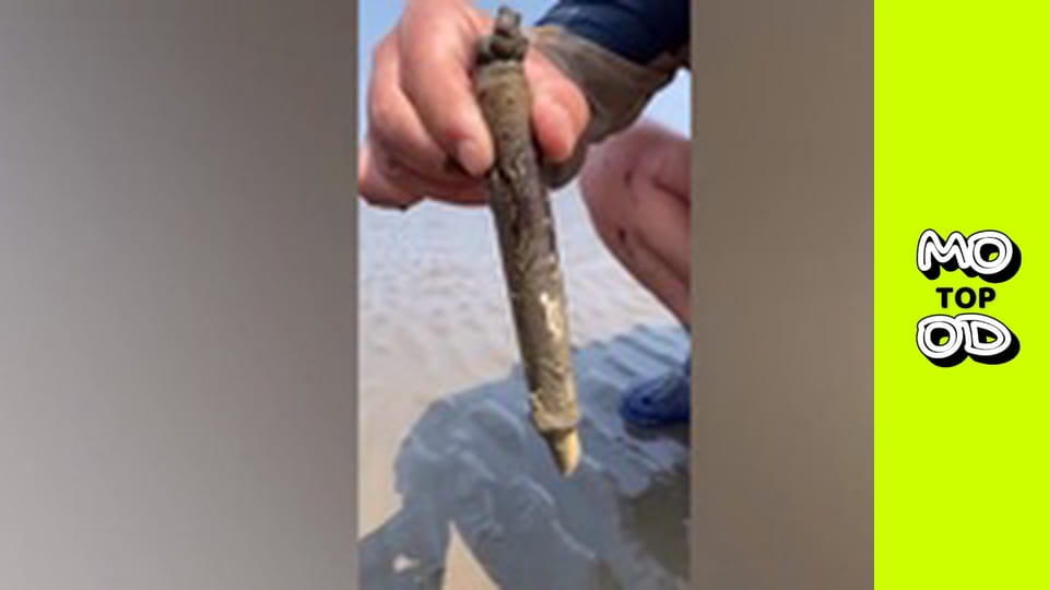 TopMood - Випуск 64