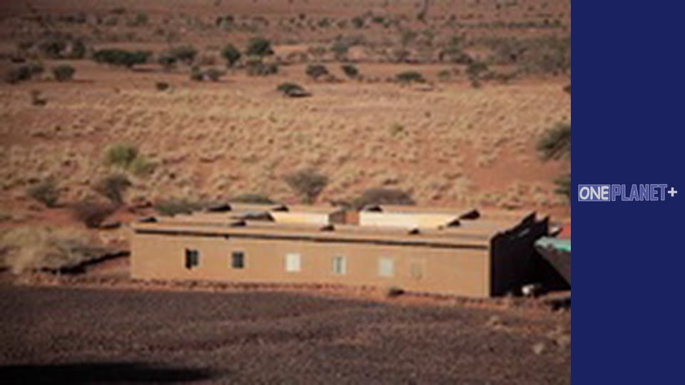 Подорож у Минуле, Випуск 2