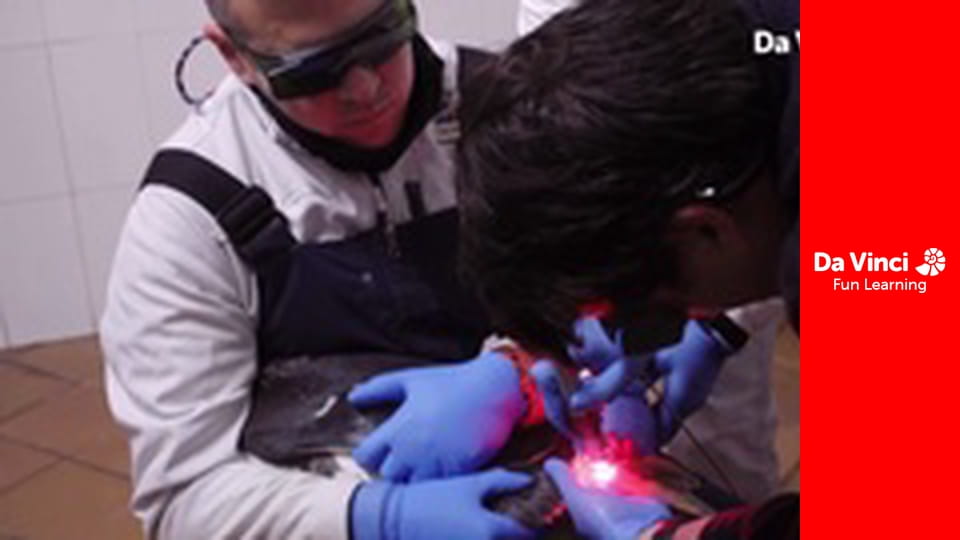 Посольство животных - Стопа горили