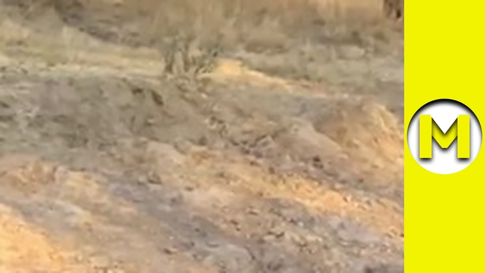 Max TV - season 1 - episode 56