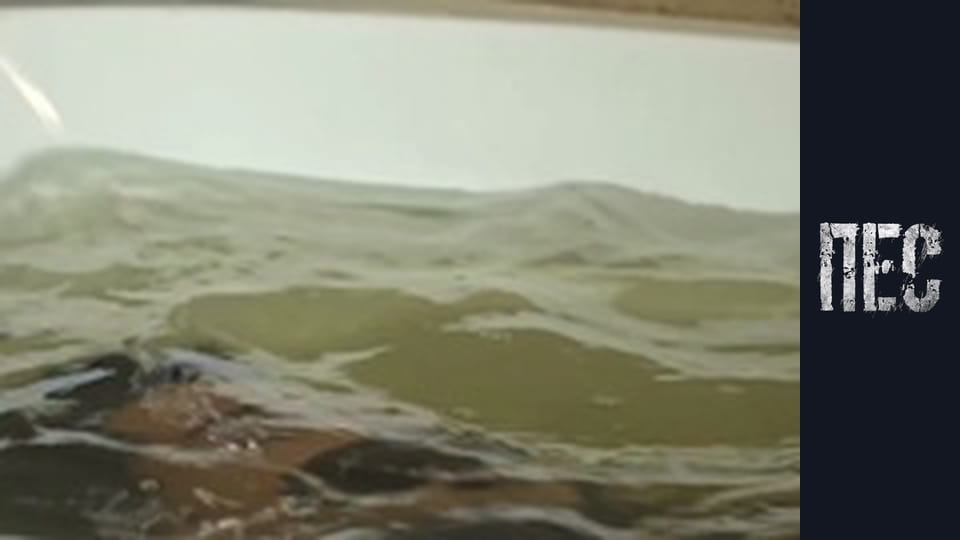 Dog, Season 6, Episode 4