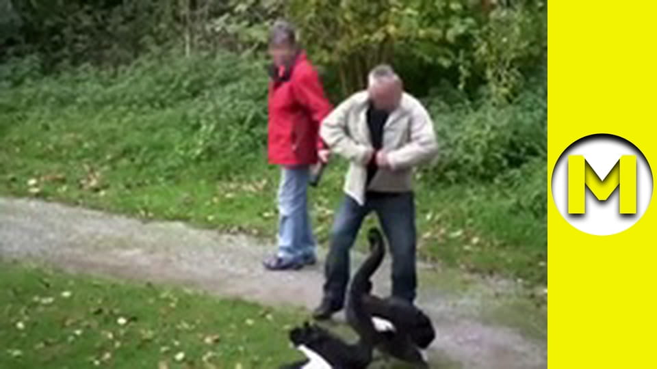 Max TV - сезон 1 - серия 105