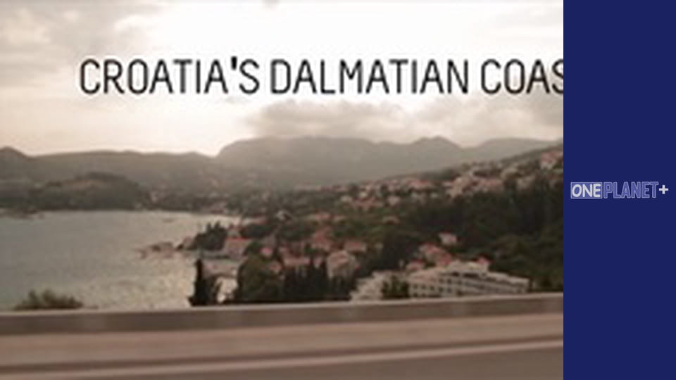 В ритме танца вокруг света. Сезон 1 – серия 4