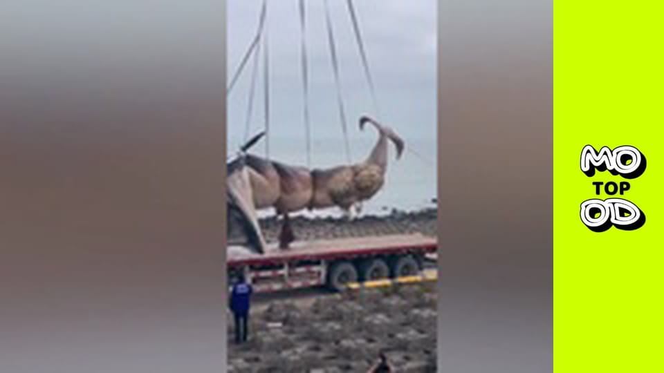 TopMood - Episode 32