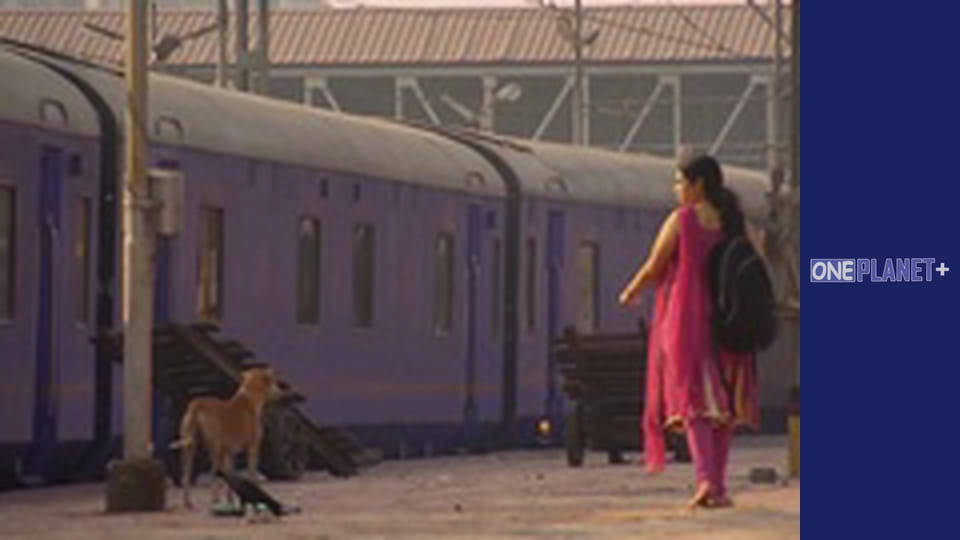 Залізничні Історіі - cерия 7