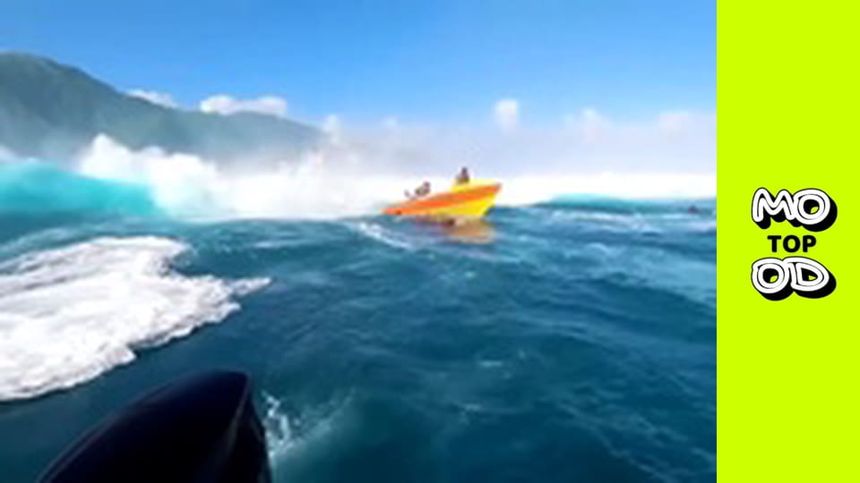 Look Up Show Сезон 3 Епізод 19