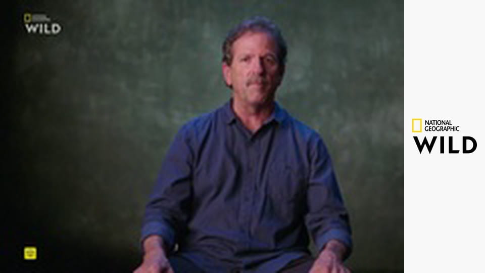 Кто-то меня укусил S1E7