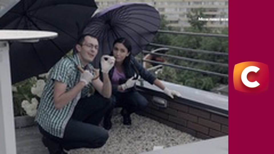 "Історія одного злочину", 8 сезон, 16 еп. "Мамський клуб".