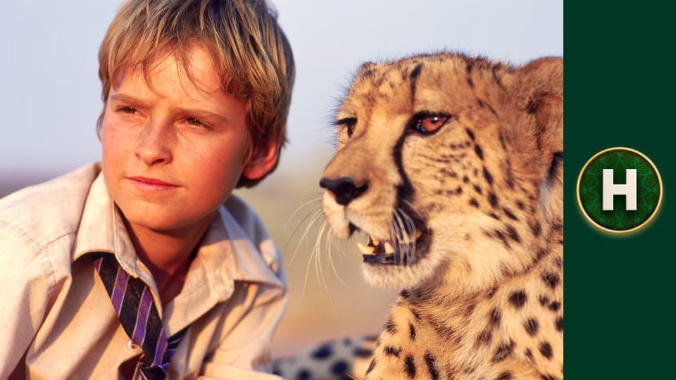 Думки про свободу