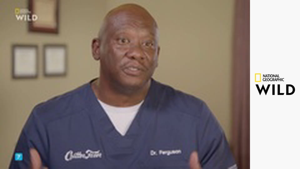 Ветпомощь для всех: Сборник S2E1 - Мамы и дети