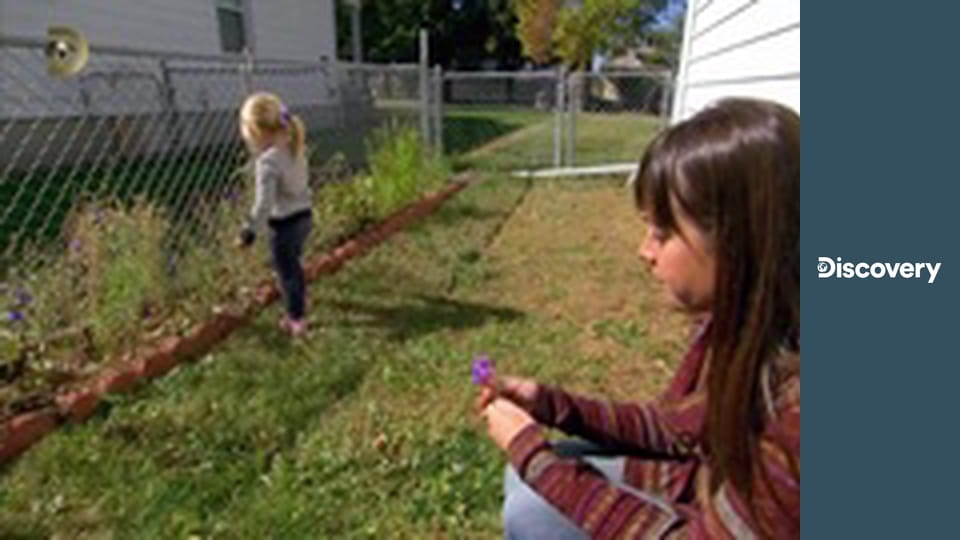 Охотники за крошечными домами S4E13 - Уютная жизнь в Колорадо