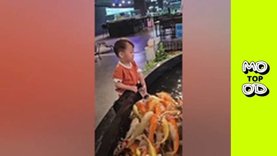 Top Mood, Сезон 2, Випуск 72