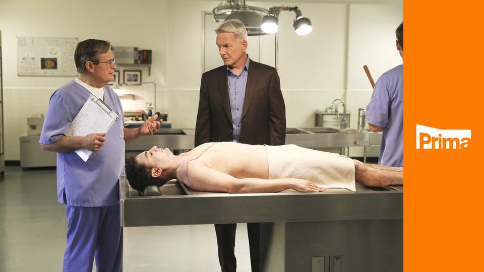 Námořní vyšetřovací služba S16E5 - Fragging