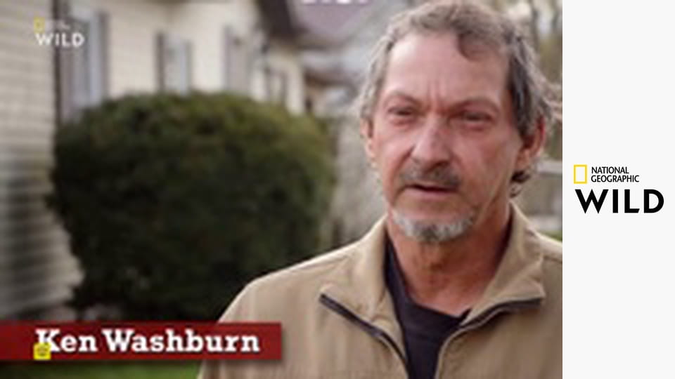 Skvělý dr. Pol S24E7 - Charles se zranil