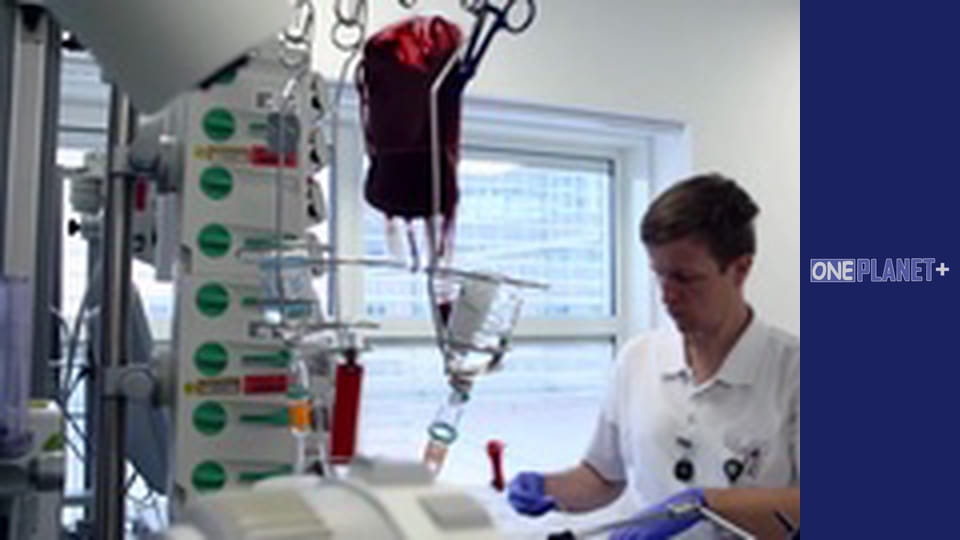 У пошуках знань. - серия 10