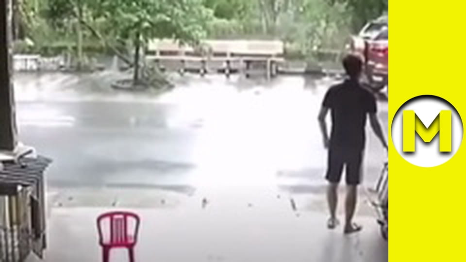 Max TV - сезон 1 - серія 49