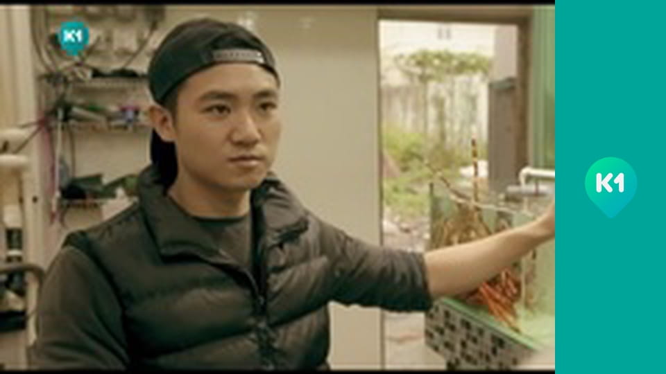 "Інший світ".