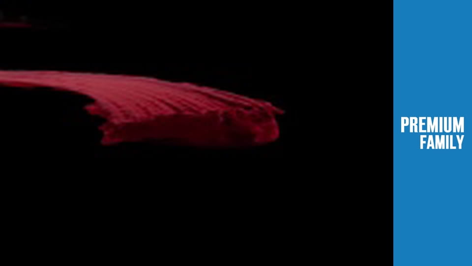 Хто в домі тато