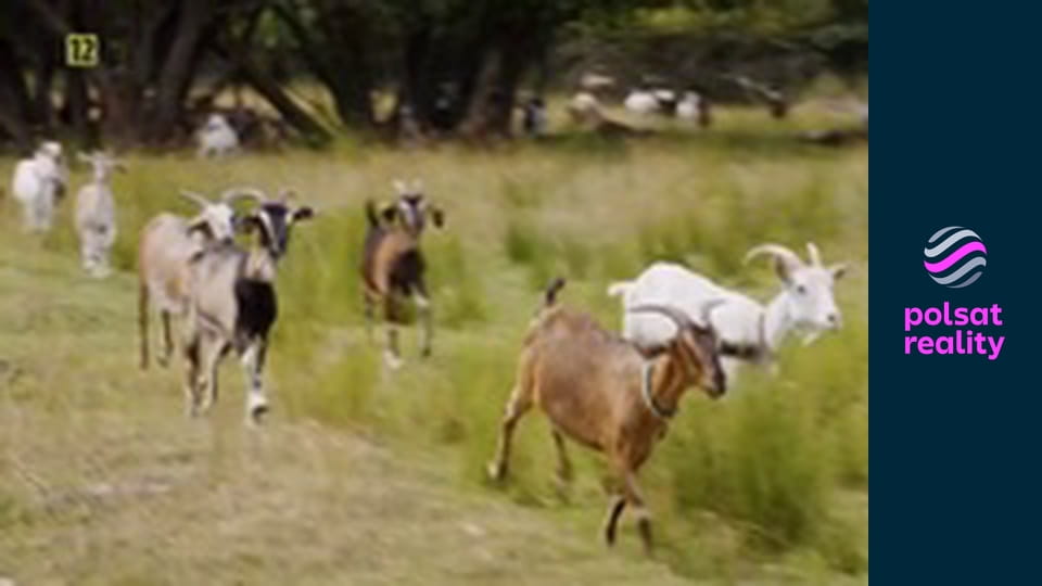 Rolnicy. Podlasie S5E35