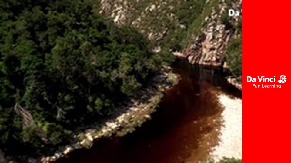 Siyaya - Come Wild With Us - To the River’s End