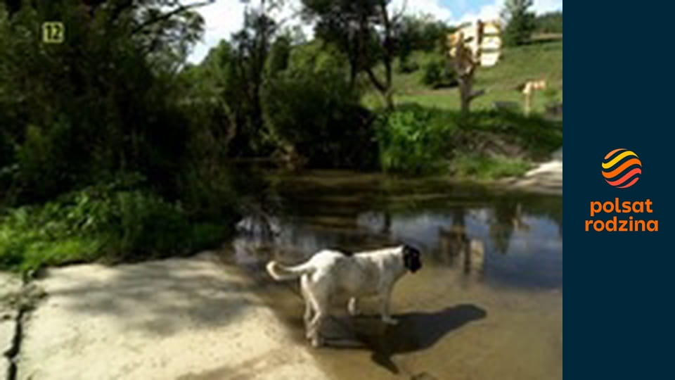 Drwale i inne opowieści Bieszczadu S16E8